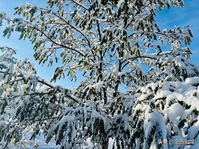 安定区：初雪漫山 与秋色撞个满怀