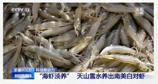 为什么在胖东来，能看到很多背着登山包的人？