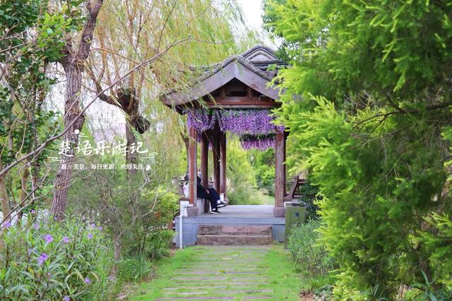 宁波这个网红菊花展已经上线，花还没开但景色很美，快来先睹为快