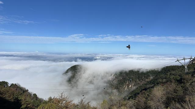 云海翻涌 宝光乍现 泰山秋日胜景引人沉醉
