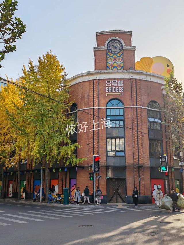 出片率100%！上海人都在找这个“限定露台”！这条“银杏大道”好拍又好吃！