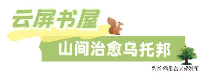 【乐游烟台】登高首选！烟台这个宝藏秘境，风景绝美！