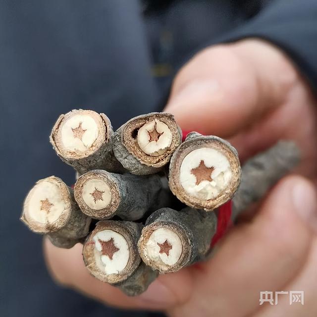 光耀太行 | 探访红色文化遗址 以脚步丈量历史