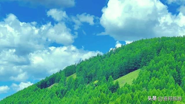 秘境北疆：加格达奇国家森林公园的生态与人文交响