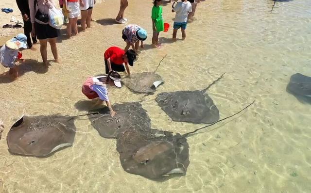 冬游陵水，暖阳如春，治愈之旅现在出发正当时！
