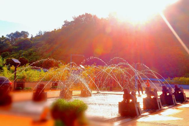 桂香漫马山,彰德的秋日浪漫……