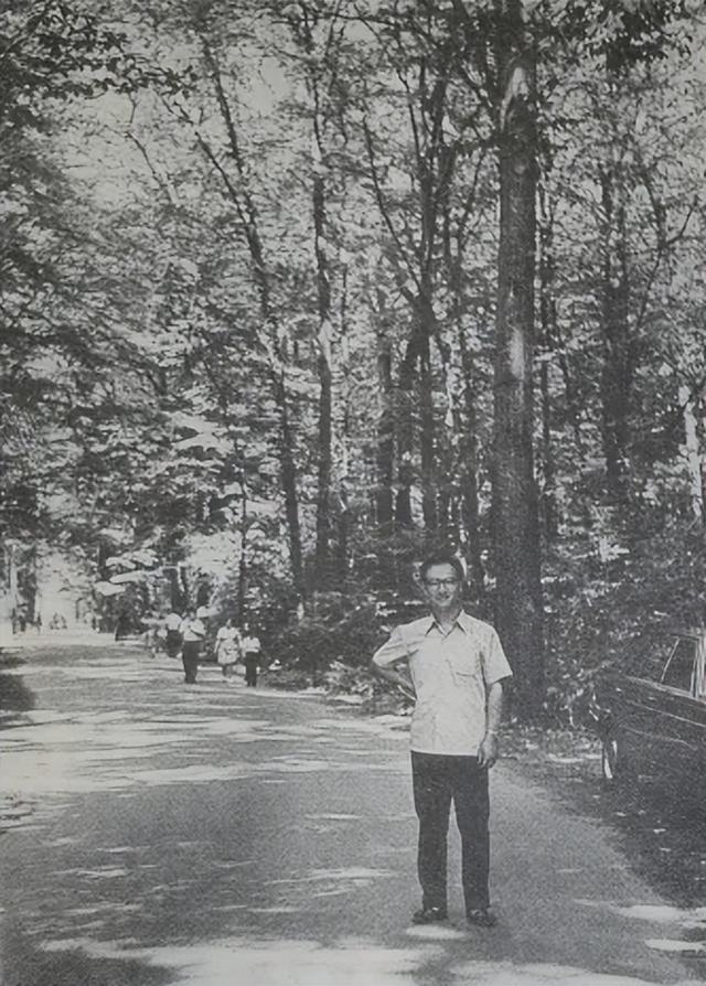 可爱的布加勒斯特（下）