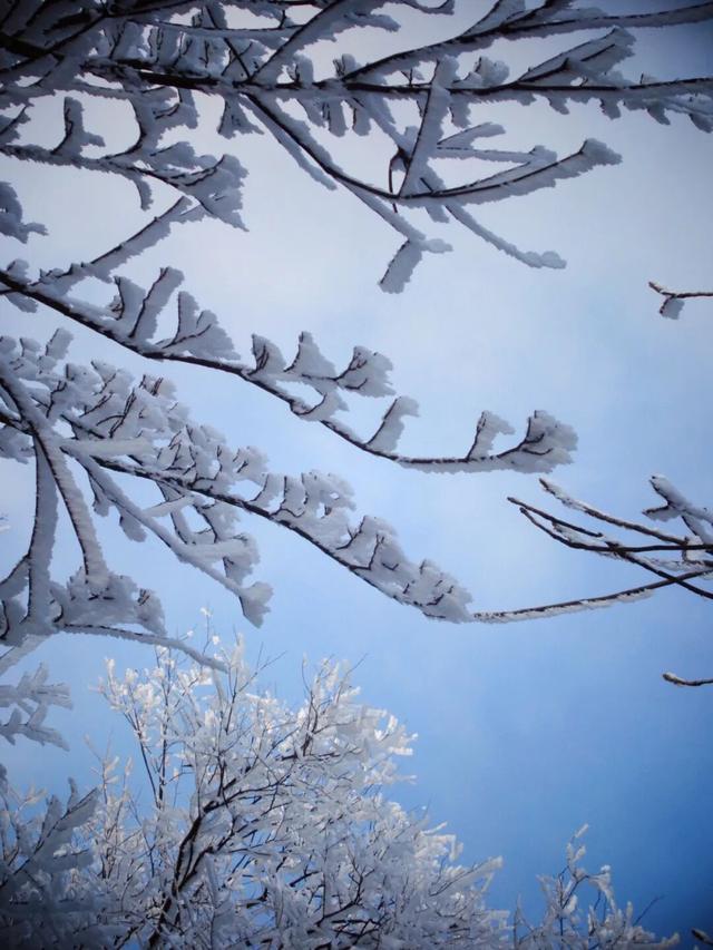 又来？这样的随州，你见没见过？