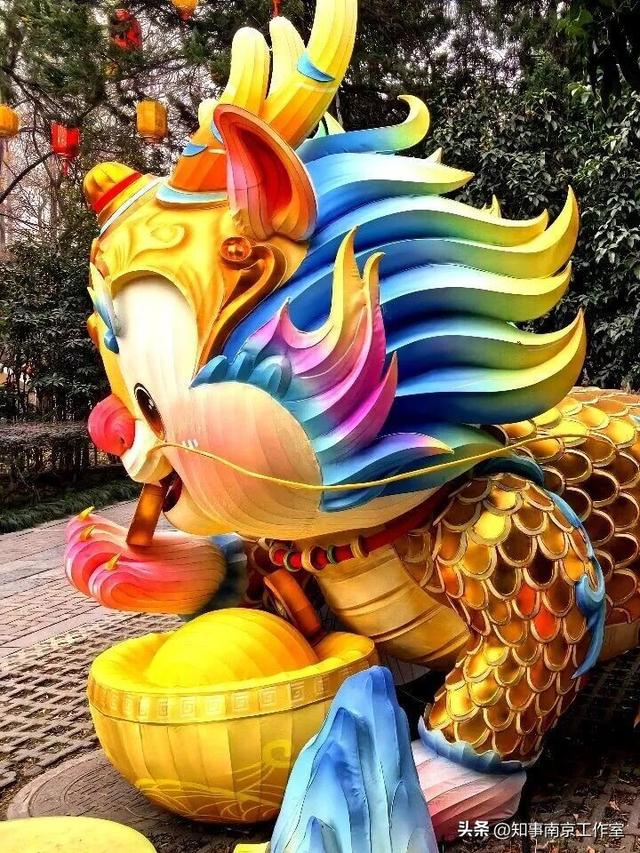 当整个南京都在追光，我在白鹭洲等一场灯与影的相逢