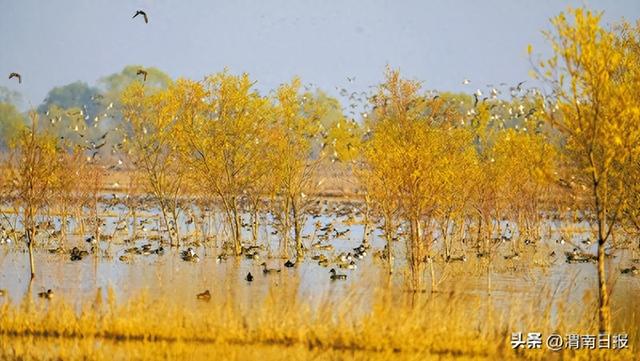 2025年12月26日 渭南文化旅游资讯微报（组图）