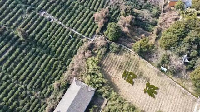 太湖边，每一步都是风景！