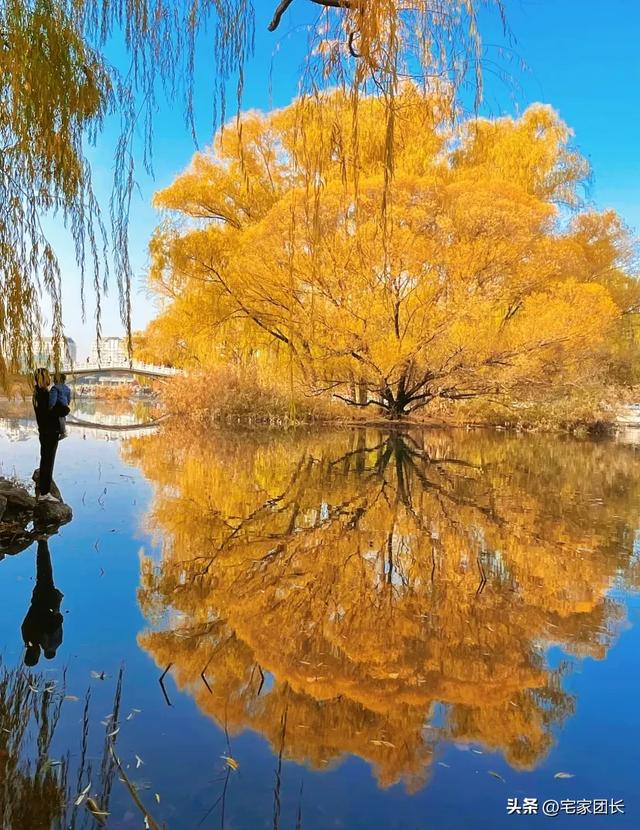老舍先生说过:北平之秋是天堂,北京的秋藏着最动人的美
