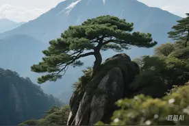 苍是什么颜色图片