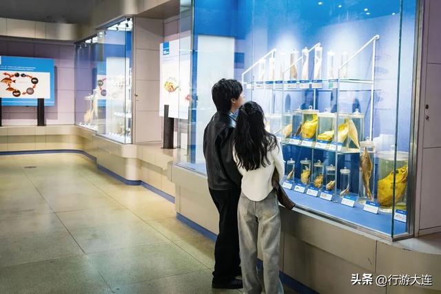 双节奔赴大连，解锁五大绝佳游玩秘籍
