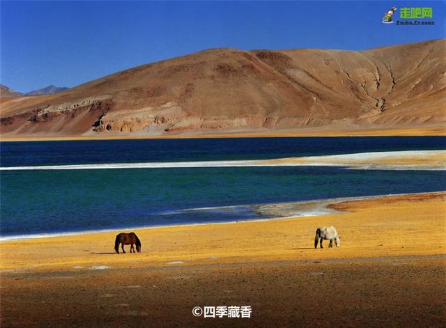 9月错峰出发，13天闯昆仑·征阿里·穿沙漠，新藏殿堂级穿越线！