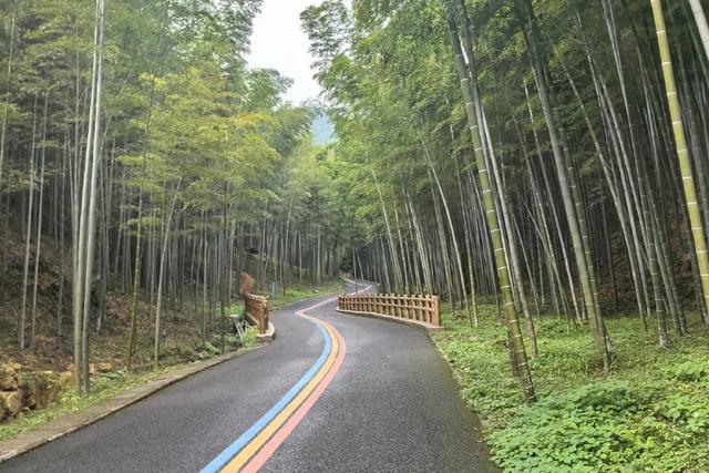 江苏宜兴竹海：周末度假的宝藏之地，开启一场竹林仙境之旅！
