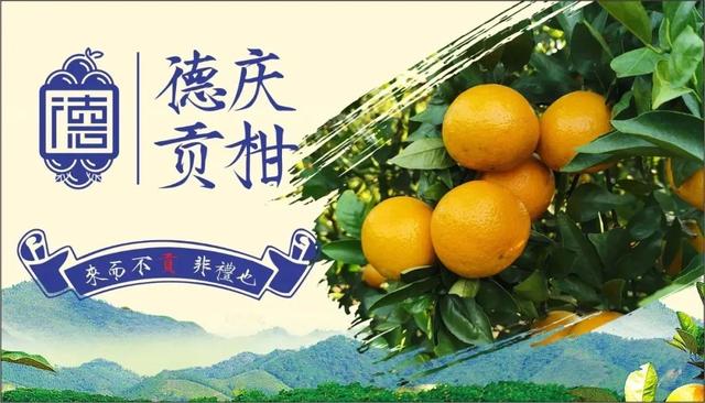 龙母文化赋能德庆农文旅融合发展，让“流量”稳稳变“留量”！