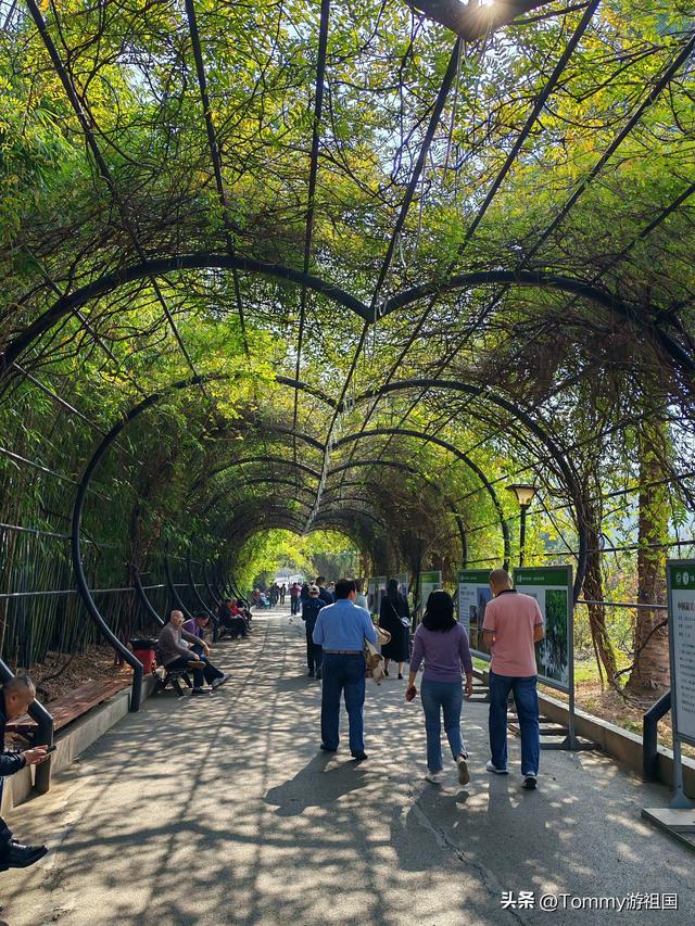 开着房车去流浪：打卡湖南省植物园