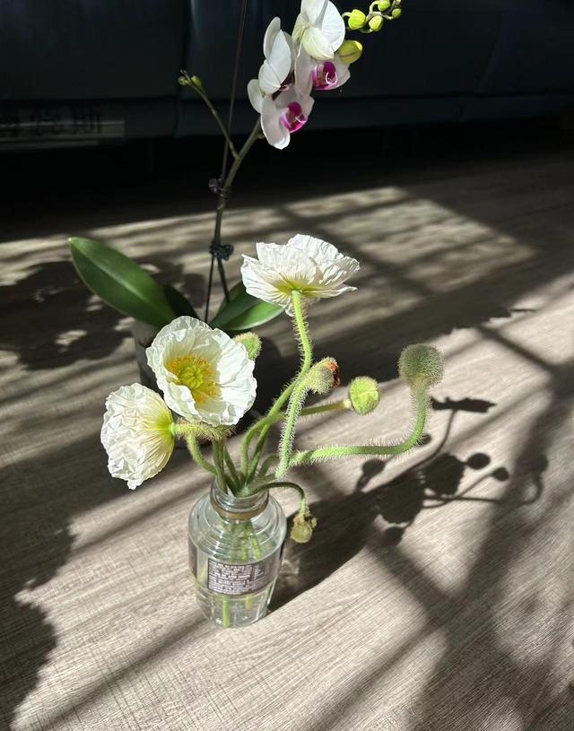 妈妈劝女儿找对象，别看脸蛋看心肠，好男人是这样炼成的