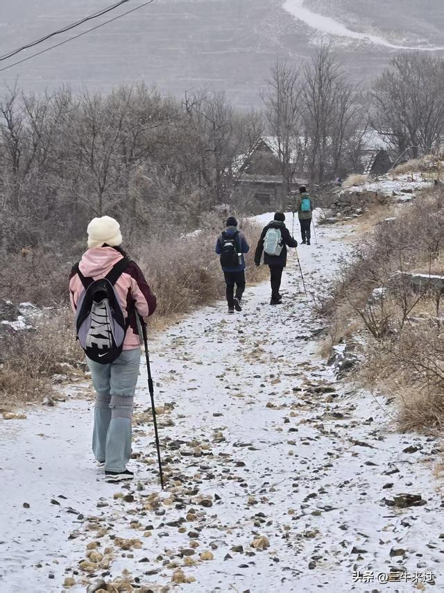 无为在歧路，何处寻雾凇
