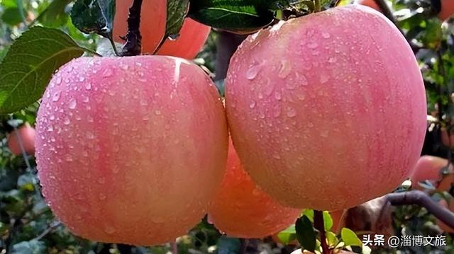 被淄博宠坏了！2026“爱你老己”，就照这样来🧡