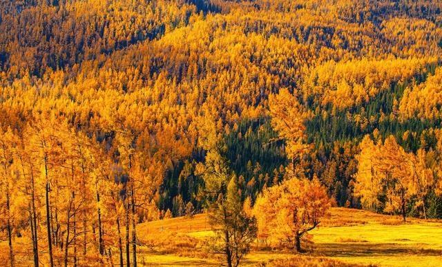 11月最值得去的7个最美旅行地，都是秋游宝藏地，你最想去哪个？