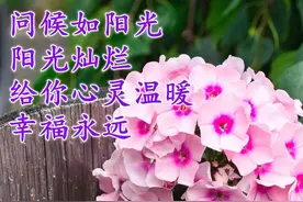 不管昨天、今天、明天，能豁然开朗，就是美好的一天图片