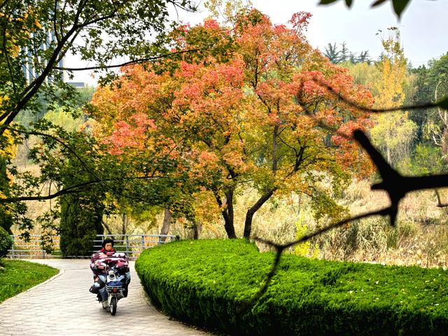 浞景无边，快乐亦无边~