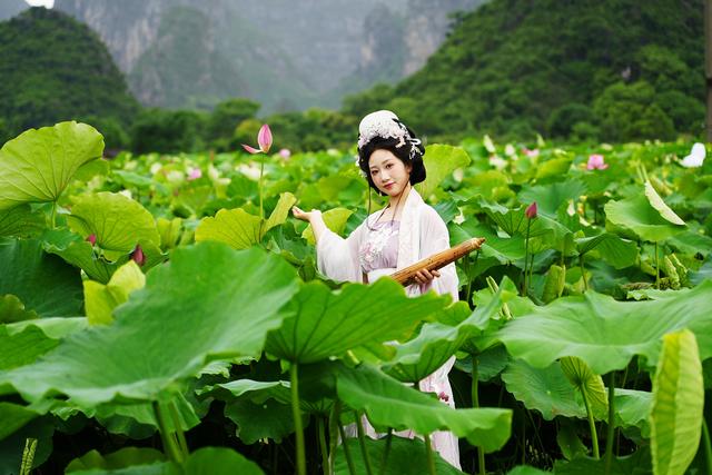 一眼惊艳！桂林夏日限定浪漫“荷”你有约！