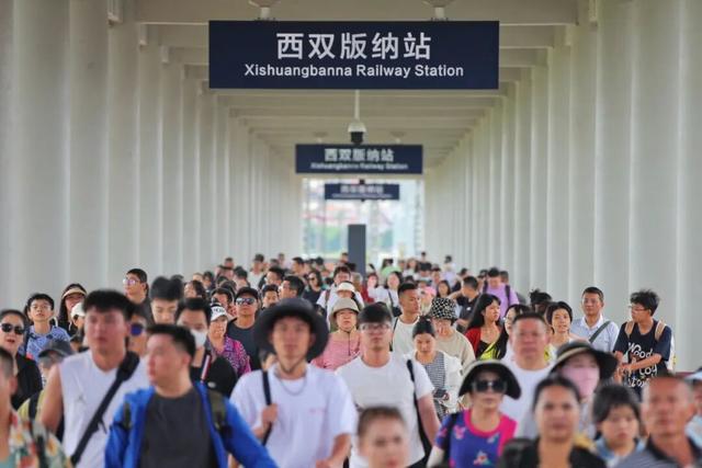 大量上市！去边境小城品茶，这条线路超火！