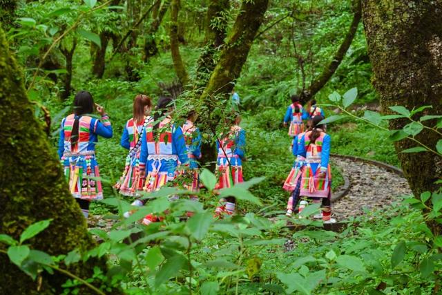 旅居腾冲丨探秘宝藏村落！一村一世界，步步惊喜