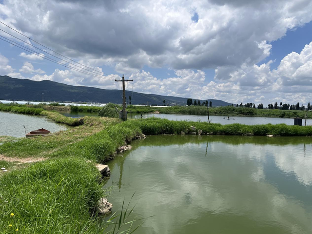 三宝街道宝藏玩法大揭秘！营地乐园、垂钓采摘、温泉美食、古寺山野...近郊遛娃度假首选地！