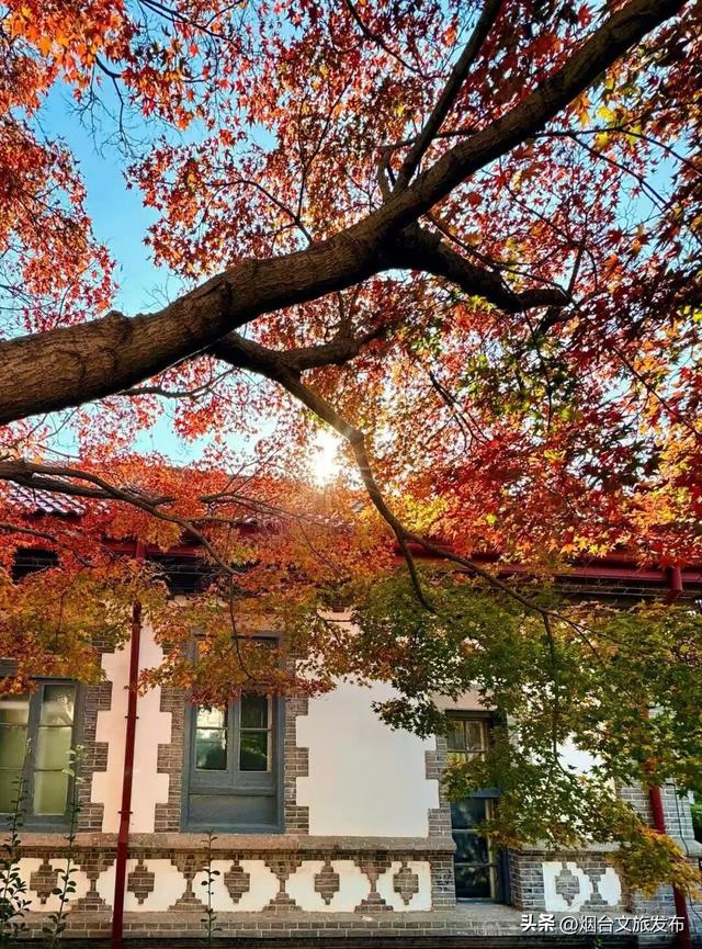 【乐游烟台】现在就冲！烟台这几处街景美到开挂