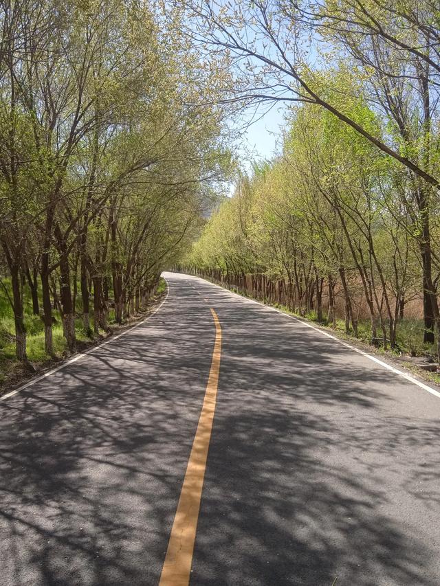 乌市雅山西边的湿地，登山步道14号打卡点，那里人少有大自然野趣