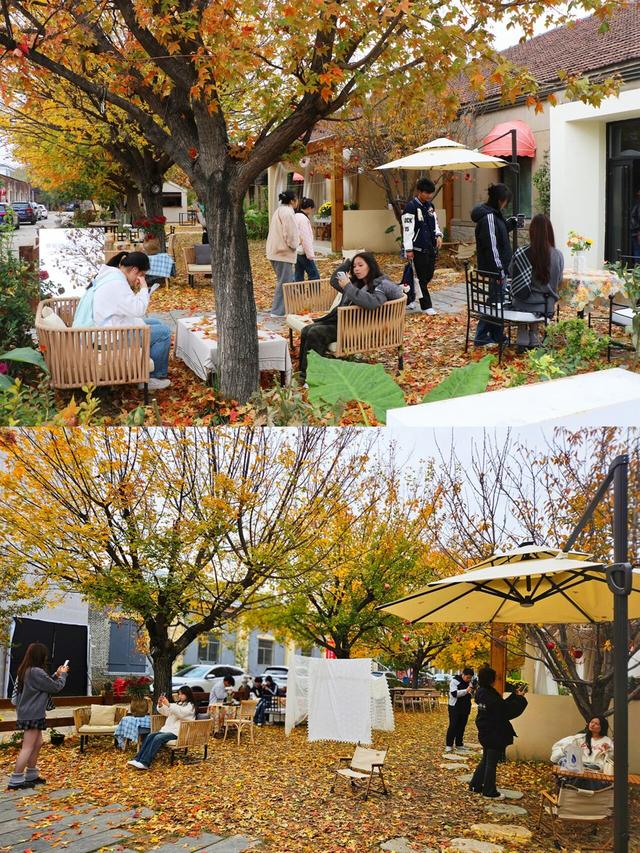 出片率UP！UP！UP！潍坊这里好美啊！