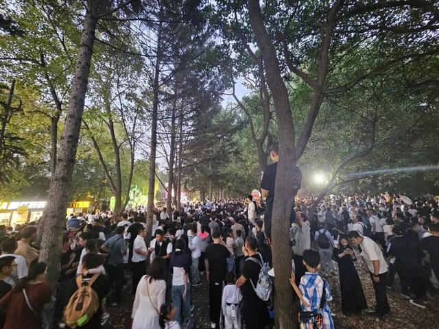 万人涌入长春动植物园看“雪饼猴”：家长肩头长满孩子，还有人爬树也要看