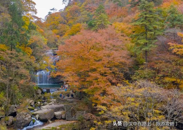 汉中这处红叶已进入最佳观赏期