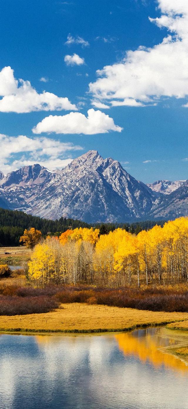 云起天犹湿，风翻势若奔。俄然开碧落，金日出乾坤