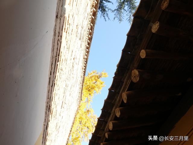 天子峪口，百塔寺的古银杏