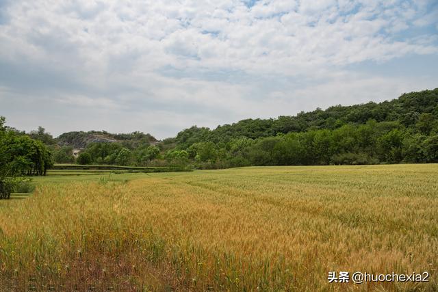 隔壁的城市走一走——镇江丁岗五七林场