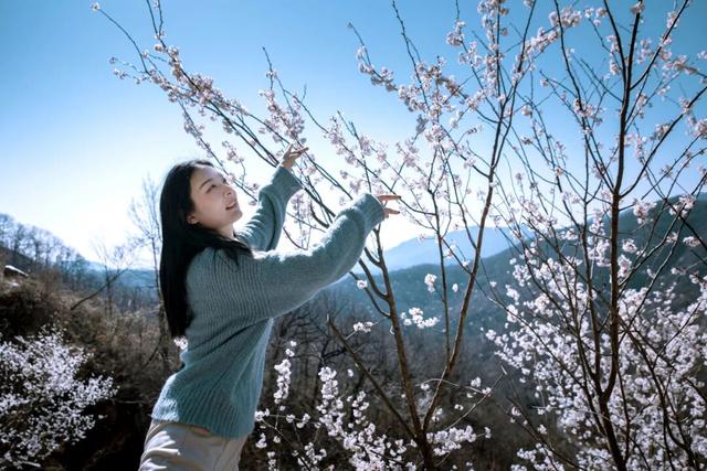 春风十里，不如大洪山有你！全国女士免门票，男士半价！还有专属福利等您来～
