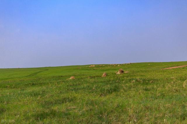 中国草原 NO.1! 低调了数千年的牧场，曾让成吉思汗都在此策马奔腾