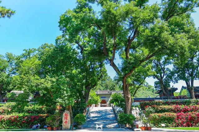“怀马”福利→10家景区折扣优惠延至十月底