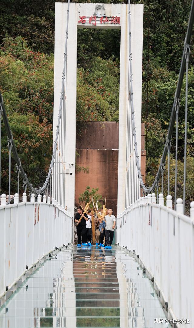 广西融安：秋高气爽引客来