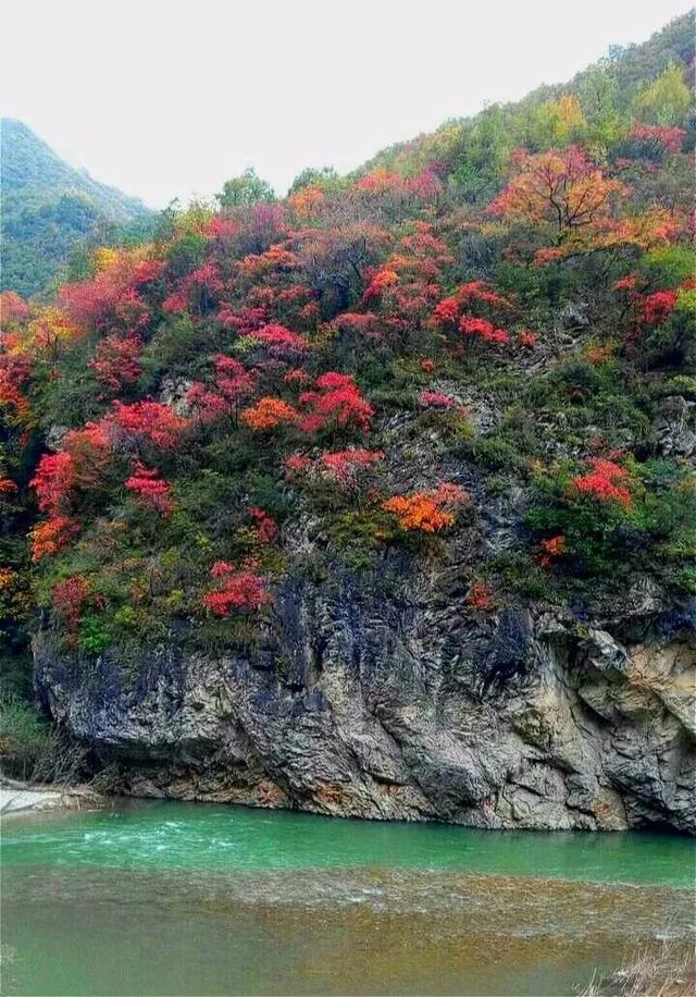 初冬赴高桥：山水藏诗 古迹含情