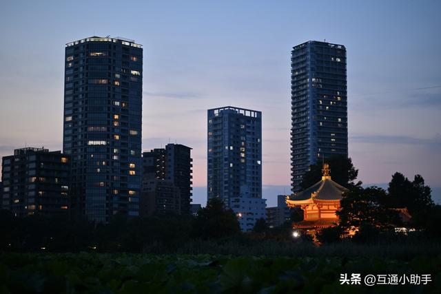 尼康“NIKKOR Z 24-70mm f/2.8 S II” 全方位升级的大三元标准变焦镜头