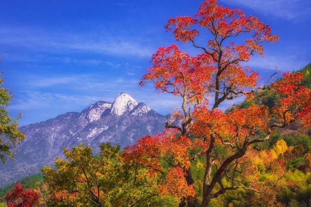 霜降罗田，邂逅中国最美红叶！大别山秋日摄影全攻略