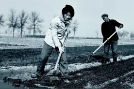 1979年，山西老农挖出70斤黄金，到银行兑换时，却遭当场逮捕图片