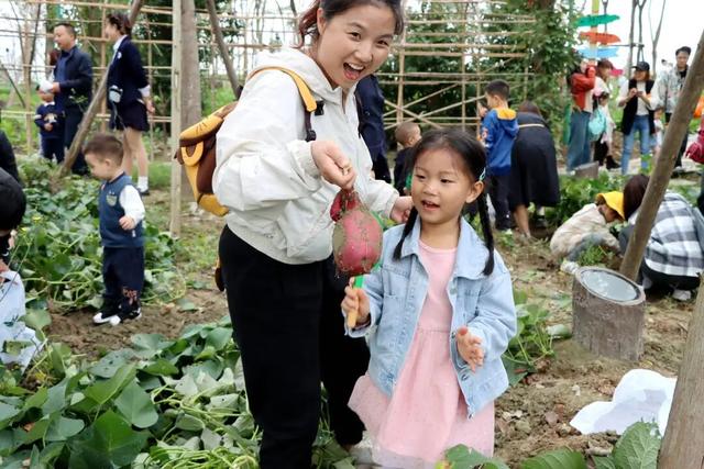 热气球、露营、寻宝……秋假快来金堂这里！