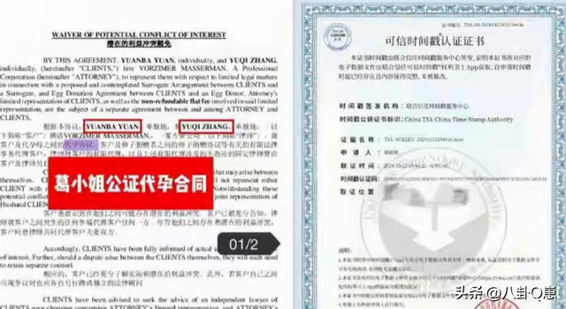 代孕只是冰山一角，张雨绮老底被扒，王宝强当初的话终于有人信了